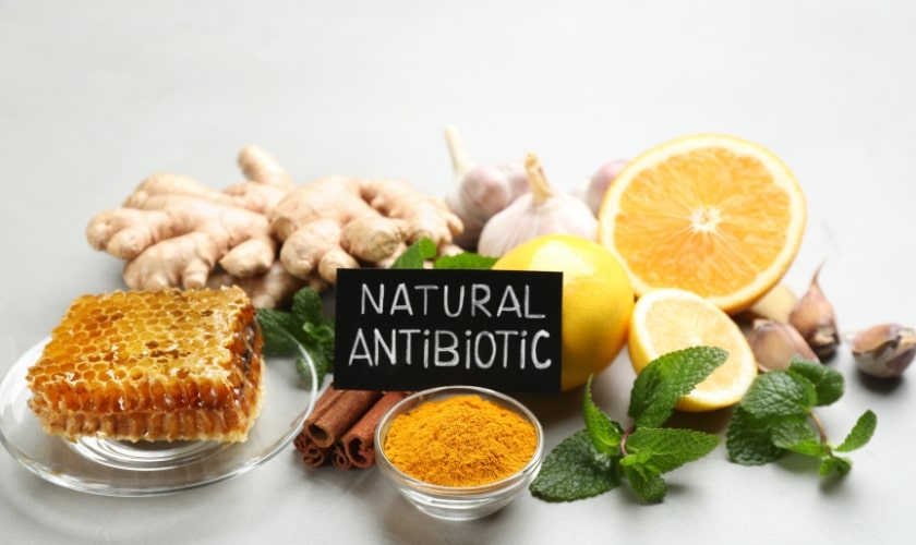 Featured image for “Natural Antibiotics for Tooth Infection: Relief or Risk?”